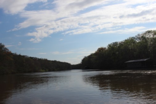 The Apalachicola River system has for years been part of a dispute between Georgia, Florida and Alabama over water rights. Photo: Annette Birch
